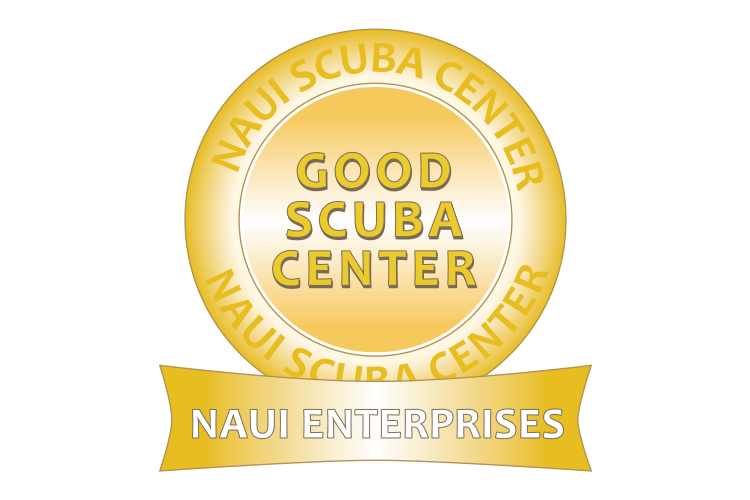 NAUI Good Scuba Center