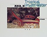 西表島の海―Tropical Under‐Water
