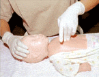 CPRトレーニング用マネキン