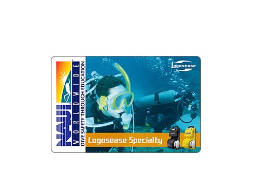 NAUI Logoseaseの資格ならNAUI Logoseaseスペシャルティ―コース | NAUI