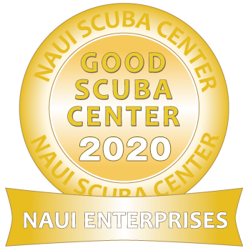 2020年　NAUIグッドスクーバセンターのロゴ