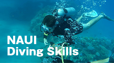 NAUI Diving Skills